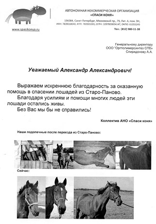 Благодарственное письмо от АНО "Спаси коня"